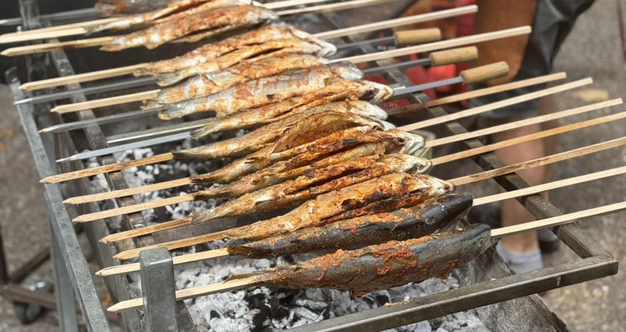 503003832_1428902791857495_8438756144881460338_n