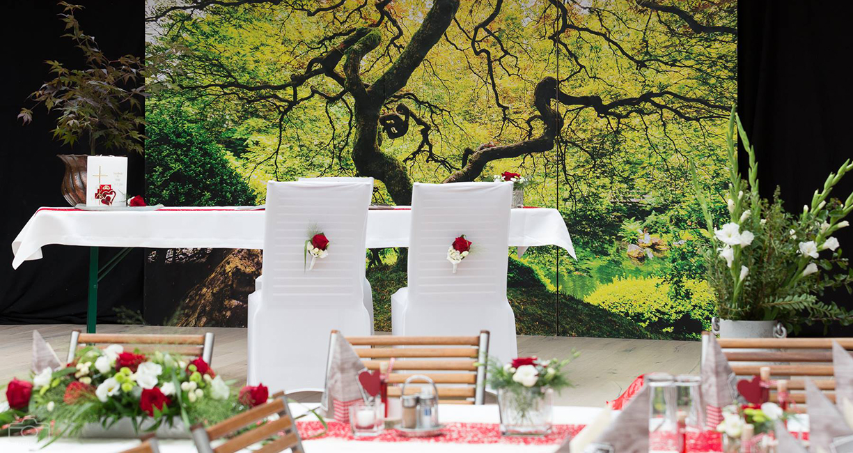 508019524_9837599776351060_766454633586376425_n