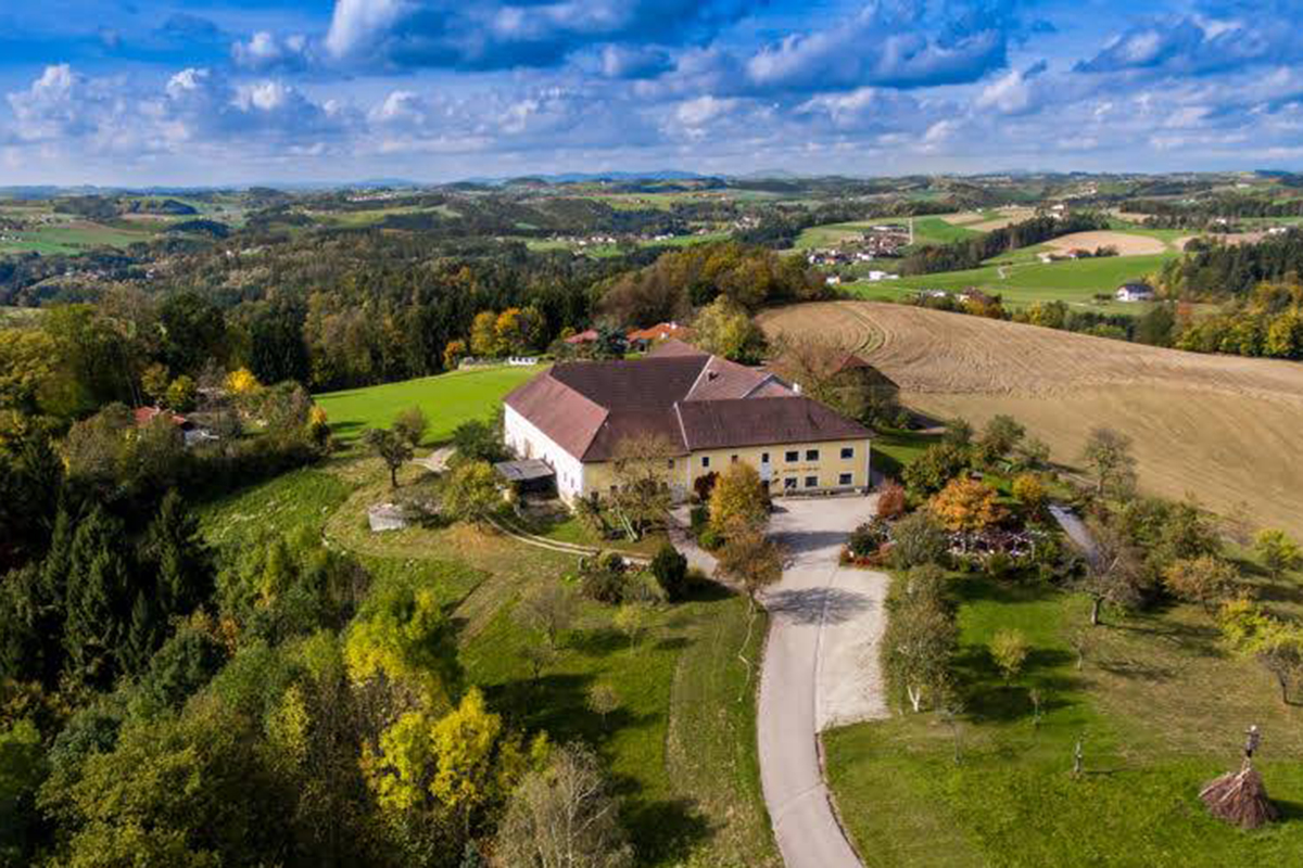 73013371_2345053358939110_5756980322541502464_n